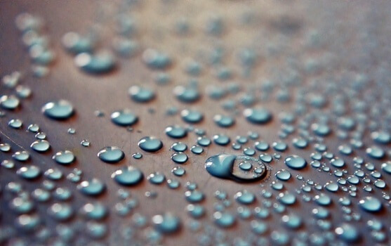 dew-rain-raindrops-drops-of-water-medium