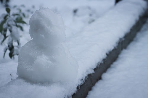 カーポートの積雪対策とは 雪で屋根を破損させないための方法を紹介